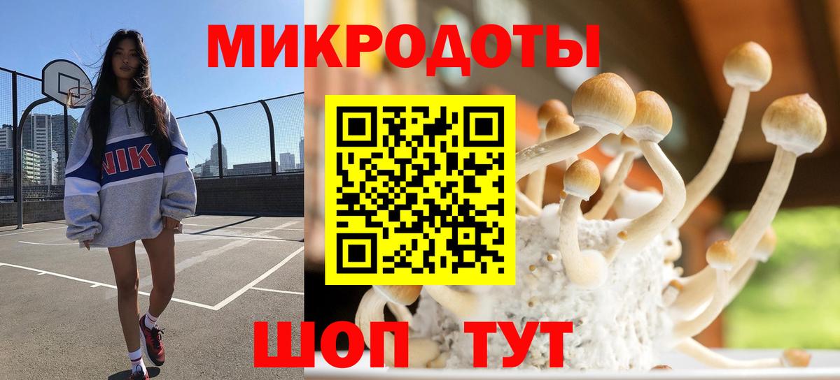 Псилоцибиновые грибы прущие грибы  Псилоцибиновые грибы GOLDEN TEACHER  Вход с VPN  Семилуки 