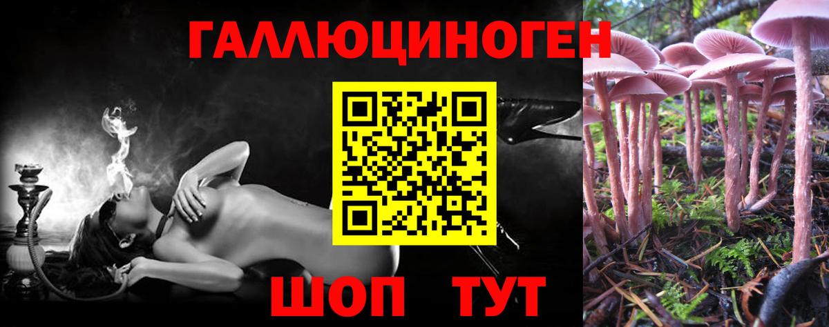Галлюциногенные грибы Psilocybine cubensis Семилуки